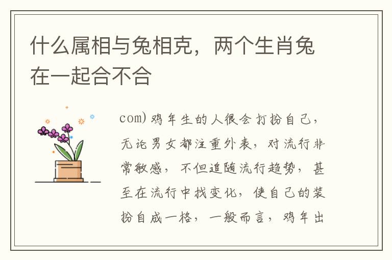 什么属相与兔相克，两个生肖兔在一起合不合