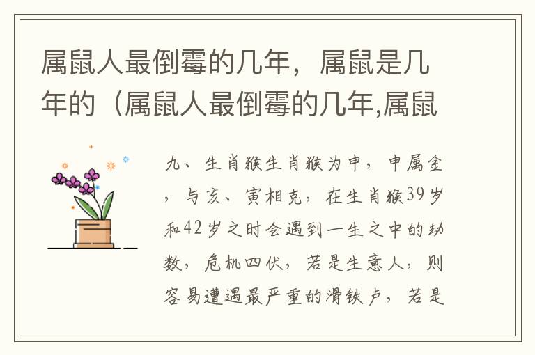 属鼠人最倒霉的几年，属鼠是几年的（属鼠人最倒霉的几年,属鼠是几年的孩子）