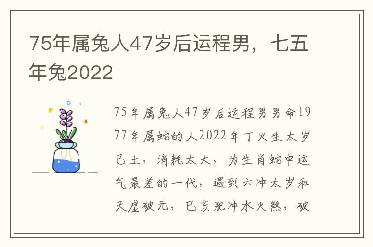 75年属兔人47岁后运程男，七五年兔2022