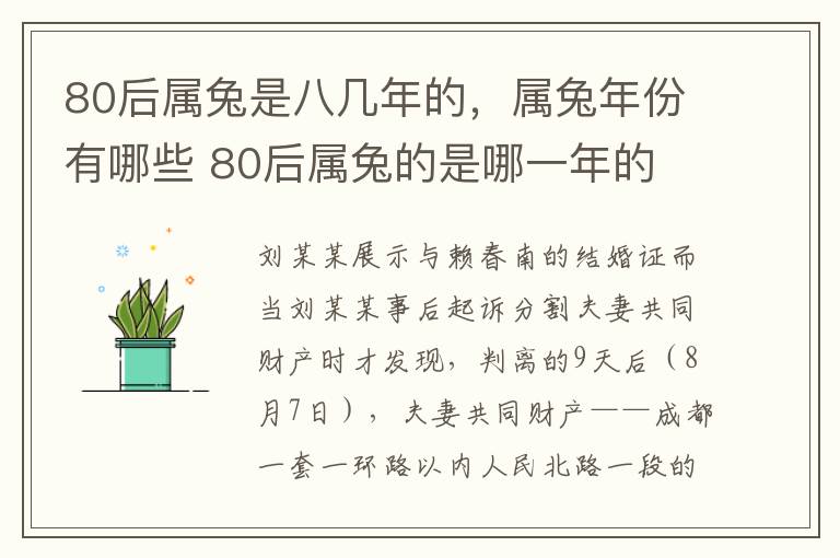 80后属兔是八几年的，属兔年份有哪些 80后属兔的是哪一年的