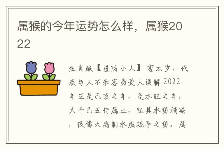 属猴的今年运势怎么样，属猴2022