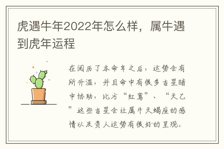 虎遇牛年2022年怎么样，属牛遇到虎年运程