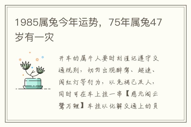 1985属兔今年运势，75年属兔47岁有一灾