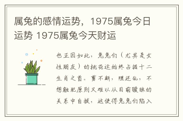 属兔的感情运势，1975属兔今日运势 1975属兔今天财运