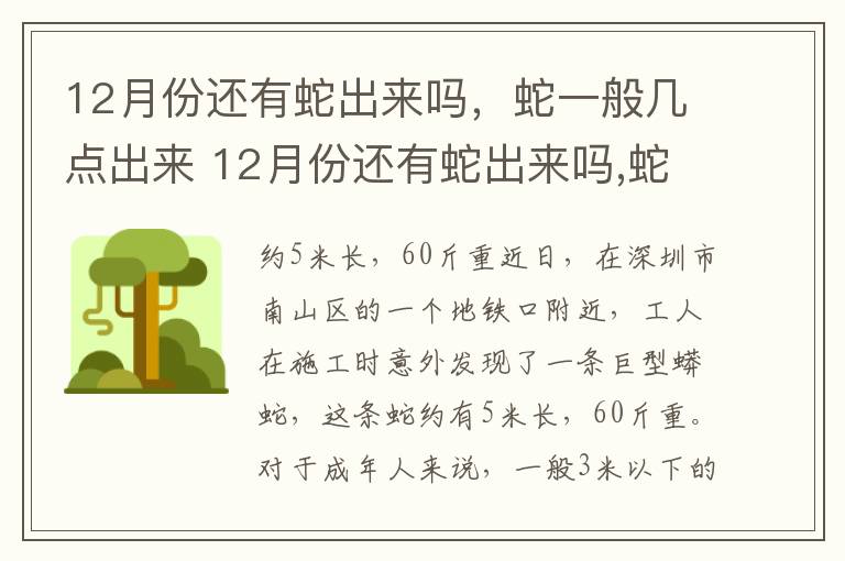 12月份还有蛇出来吗，蛇一般几点出来 12月份还有蛇出来吗,蛇一般几点出来活动