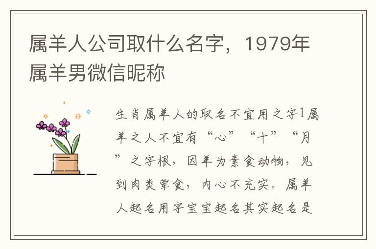 属羊人公司取什么名字，1979年属羊男微信昵称