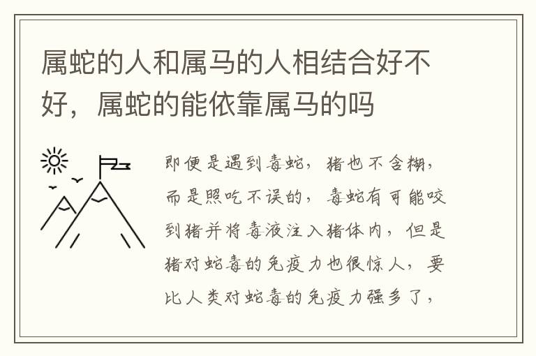 属蛇的人和属马的人相结合好不好，属蛇的能依靠属马的吗