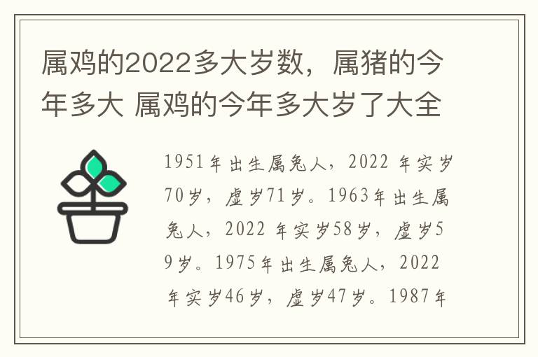 属鸡的2022多大岁数，属猪的今年多大 属鸡的今年多大岁了大全