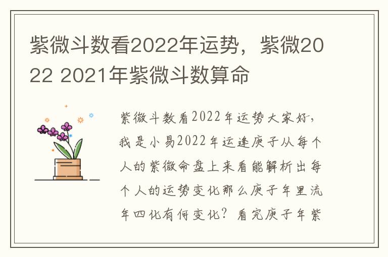 紫微斗数看2022年运势，紫微2022 2021年紫微斗数算命