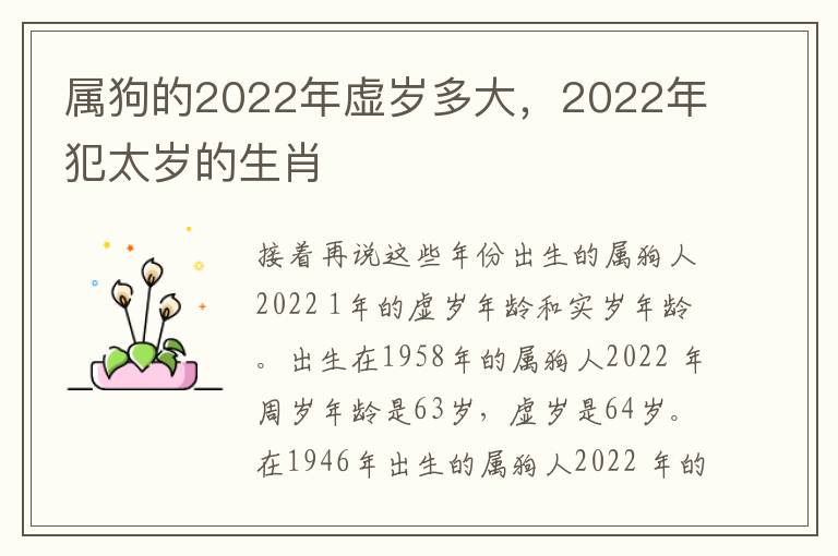 属狗的2022年虚岁多大，2022年犯太岁的生肖