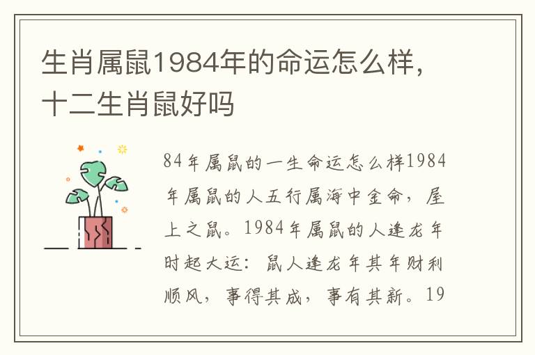 生肖属鼠1984年的命运怎么样，十二生肖鼠好吗