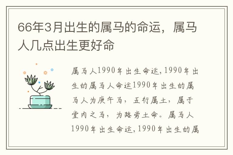 66年3月出生的属马的命运，属马人几点出生更好命