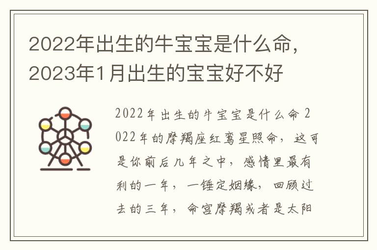 2022年出生的牛宝宝是什么命，2023年1月出生的宝宝好不好