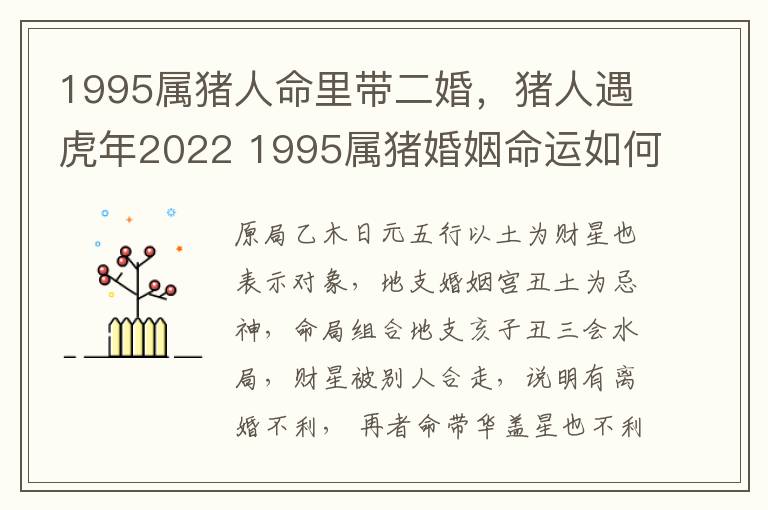 1995属猪人命里带二婚，猪人遇虎年2022 1995属猪婚姻命运如何