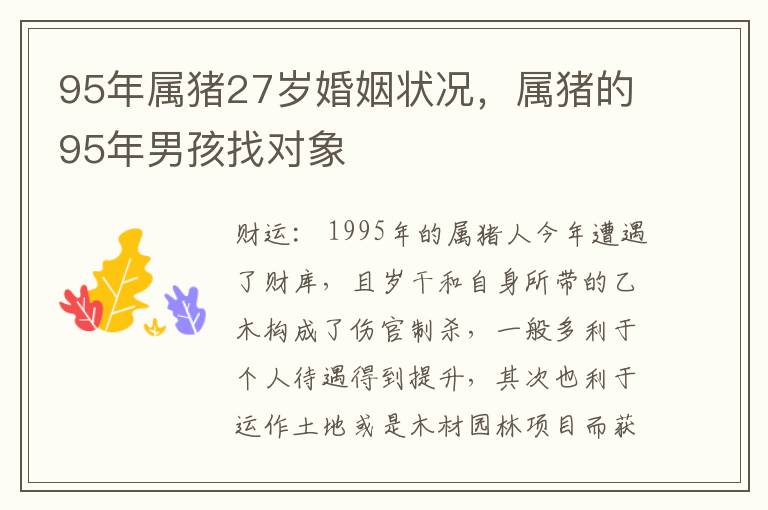 95年属猪27岁婚姻状况，属猪的95年男孩找对象