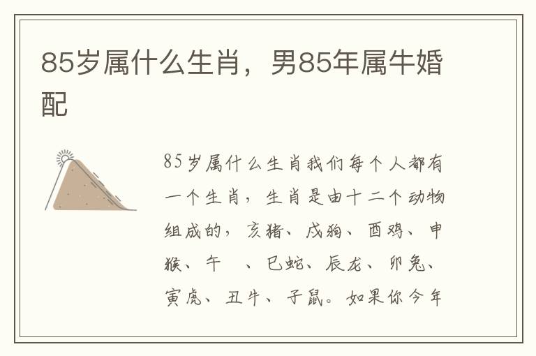 85岁属什么生肖，男85年属牛婚配