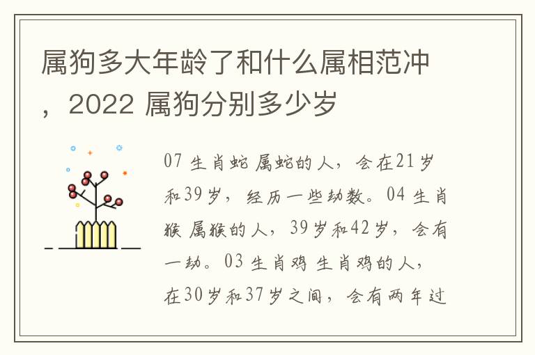 属狗多大年龄了和什么属相范冲，2022 属狗分别多少岁