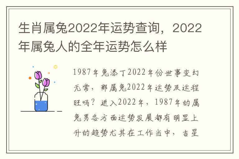 生肖属兔2022年运势查询，2022年属兔人的全年运势怎么样