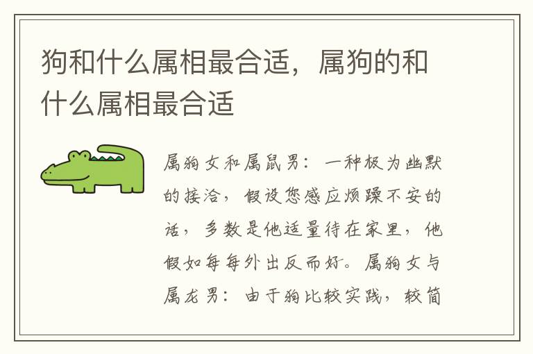 狗和什么属相最合适，属狗的和什么属相最合适