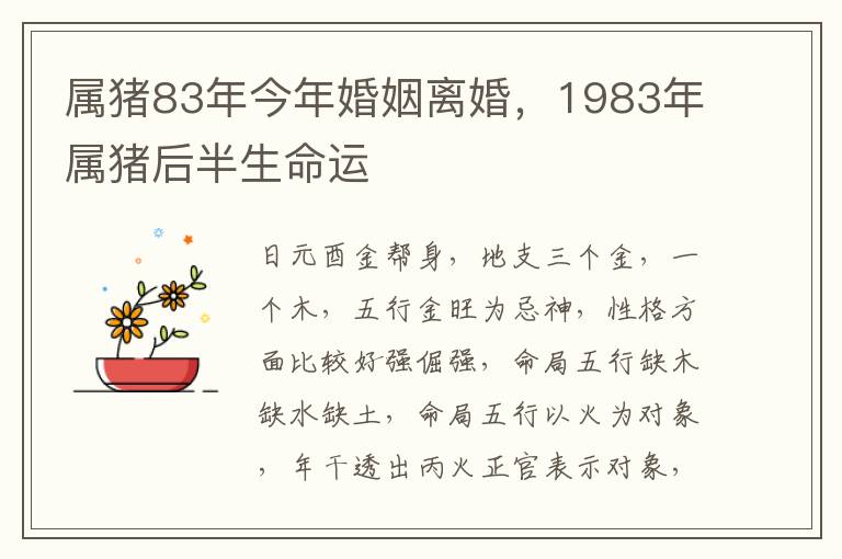 属猪83年今年婚姻离婚，1983年属猪后半生命运