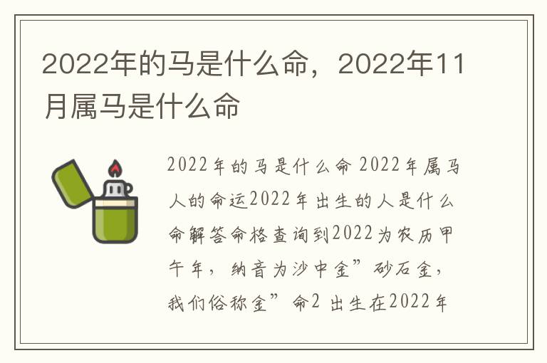 2022年的马是什么命，2022年11月属马是什么命