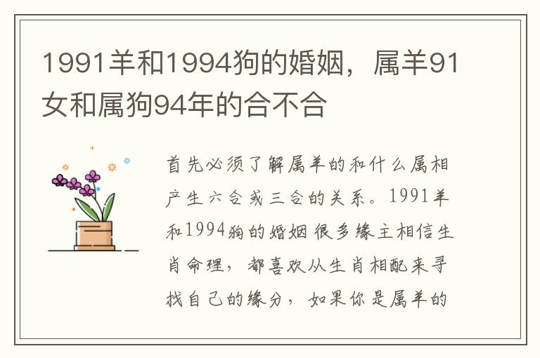 1991羊和1994狗的婚姻，属羊91女和属狗94年的合不合