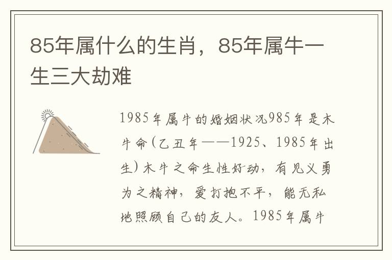 85年属什么的生肖，85年属牛一生三大劫难