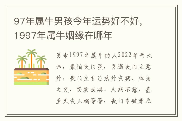 97年属牛男孩今年运势好不好，1997年属牛姻缘在哪年