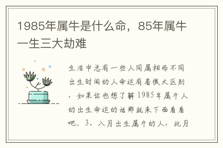 1985年属牛是什么命，85年属牛一生三大劫难