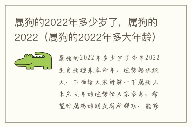 属狗的2022年多少岁了，属狗的2022（属狗的2022年多大年龄）