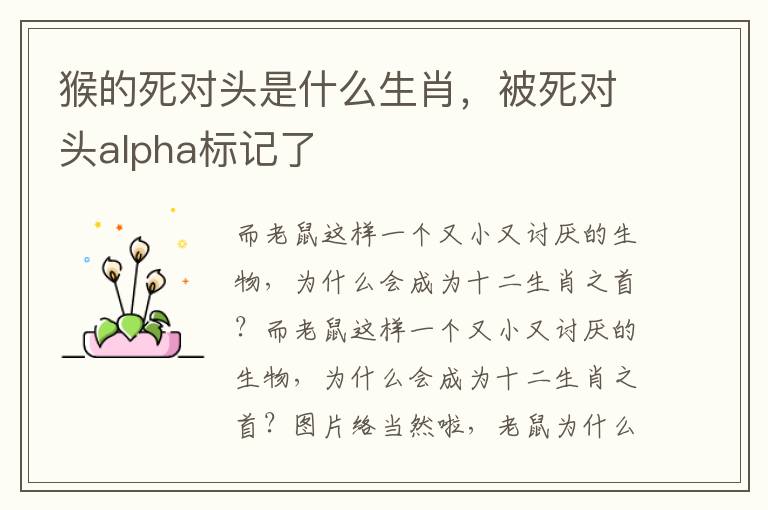 猴的死对头是什么生肖，被死对头alpha标记了