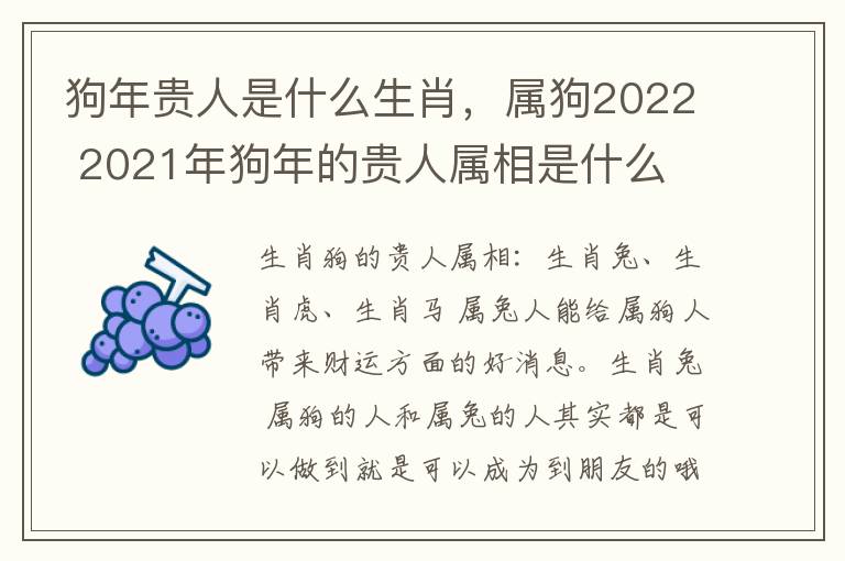 狗年贵人是什么生肖，属狗2022 2021年狗年的贵人属相是什么