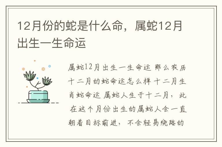 12月份的蛇是什么命，属蛇12月出生一生命运