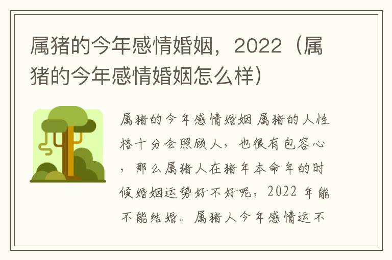 属猪的今年感情婚姻，2022（属猪的今年感情婚姻怎么样）