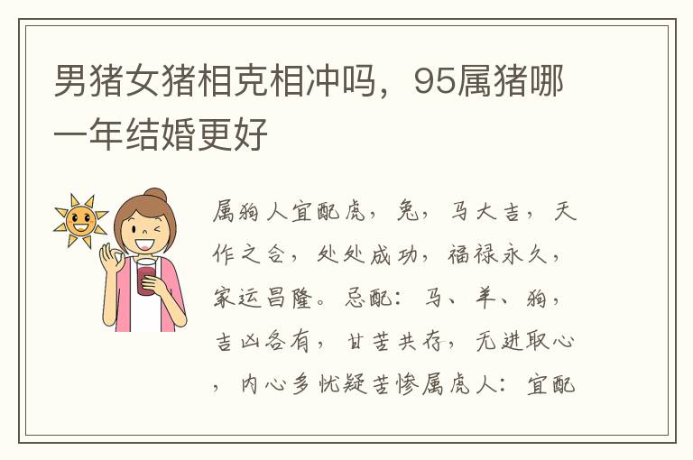 男猪女猪相克相冲吗，95属猪哪一年结婚更好