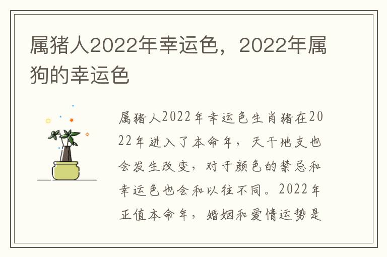 属猪人2022年幸运色，2022年属狗的幸运色