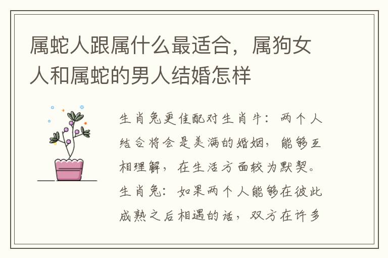 属蛇人跟属什么最适合，属狗女人和属蛇的男人结婚怎样