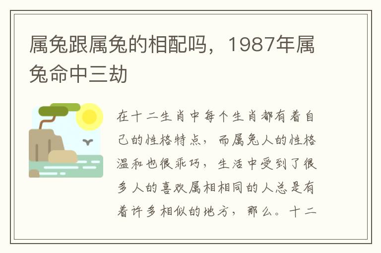 属兔跟属兔的相配吗，1987年属兔命中三劫