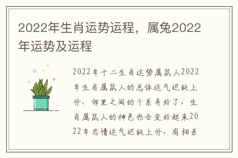 2022年生肖运势运程，属兔2022年运势及运程