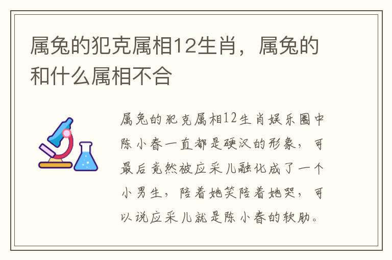 属兔的犯克属相12生肖，属兔的和什么属相不合