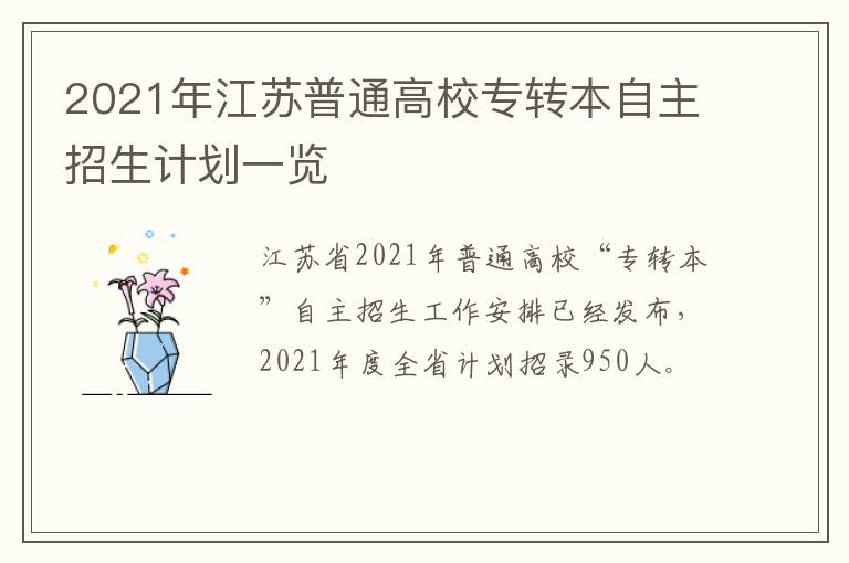 2021年江苏普通高校专转本自主招生计划一览