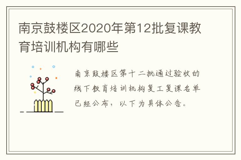 南京鼓楼区2020年第12批复课教育培训机构有哪些