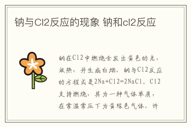 钠与Cl2反应的现象 钠和cl2反应