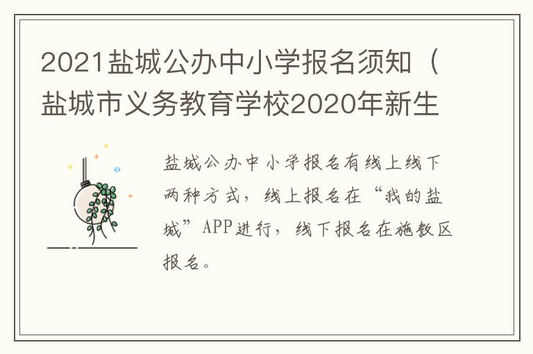 2021盐城公办中小学报名须知（盐城市义务教育学校2020年新生入学网上报名）