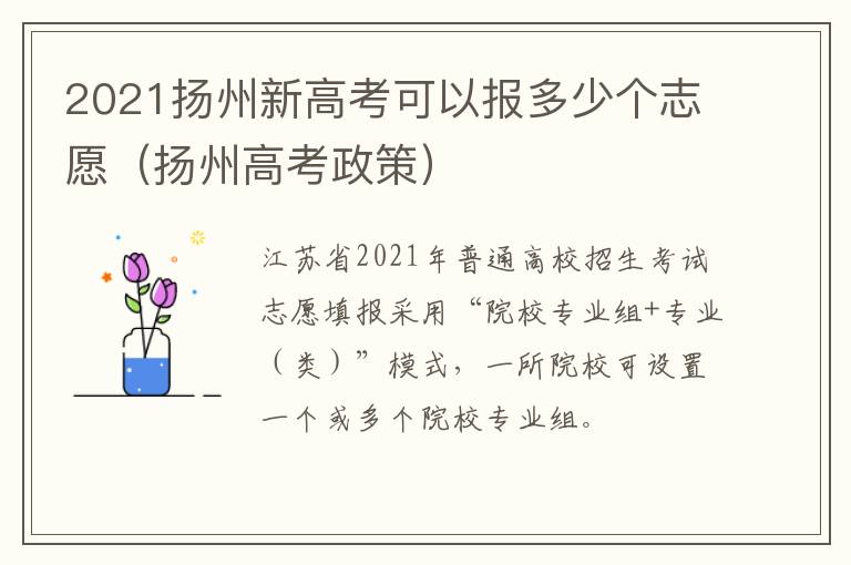 2021扬州新高考可以报多少个志愿（扬州高考政策）