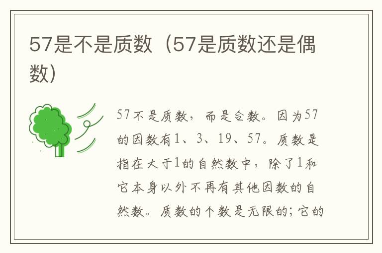 57是不是质数（57是质数还是偶数）