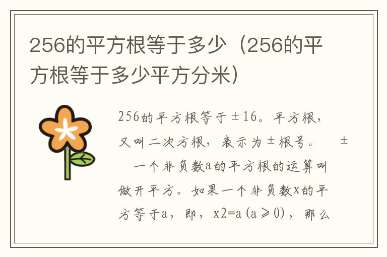 256的平方根等于多少（256的平方根等于多少平方分米）