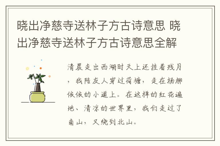 晓出净慈寺送林子方古诗意思 晓出净慈寺送林子方古诗意思全解