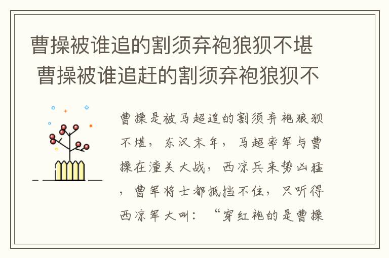 曹操被谁追的割须弃袍狼狈不堪 曹操被谁追赶的割须弃袍狼狈不堪