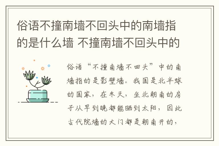 俗语不撞南墙不回头中的南墙指的是什么墙 不撞南墙不回头中的南墙指的是什么墙